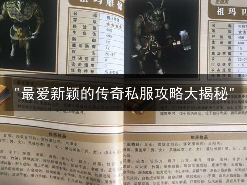 "最爱新颖的传奇私服攻略大揭秘"