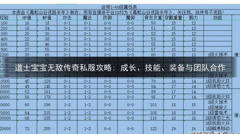 道士宝宝无敌传奇私服攻略: 成长、技能、装备与团队合作