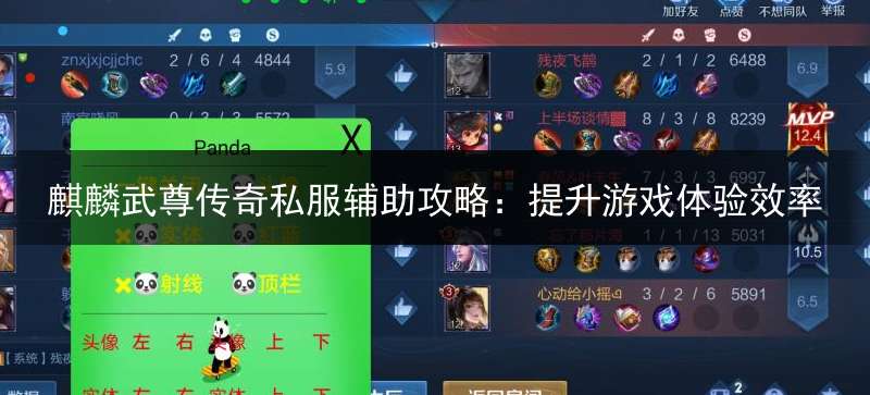 麒麟武尊传奇私服辅助攻略：提升游戏体验效率
